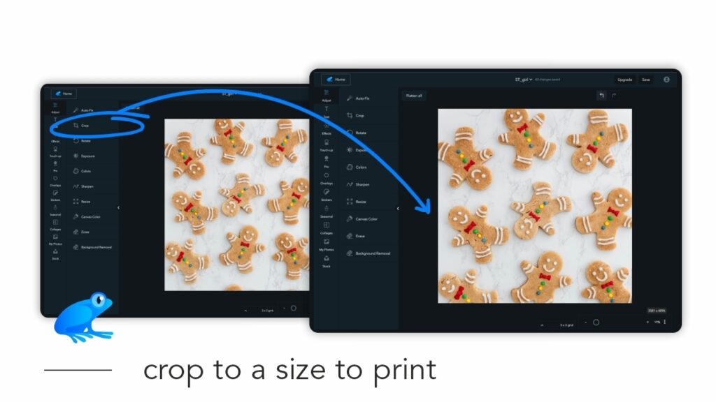 How to Crop to a size to print