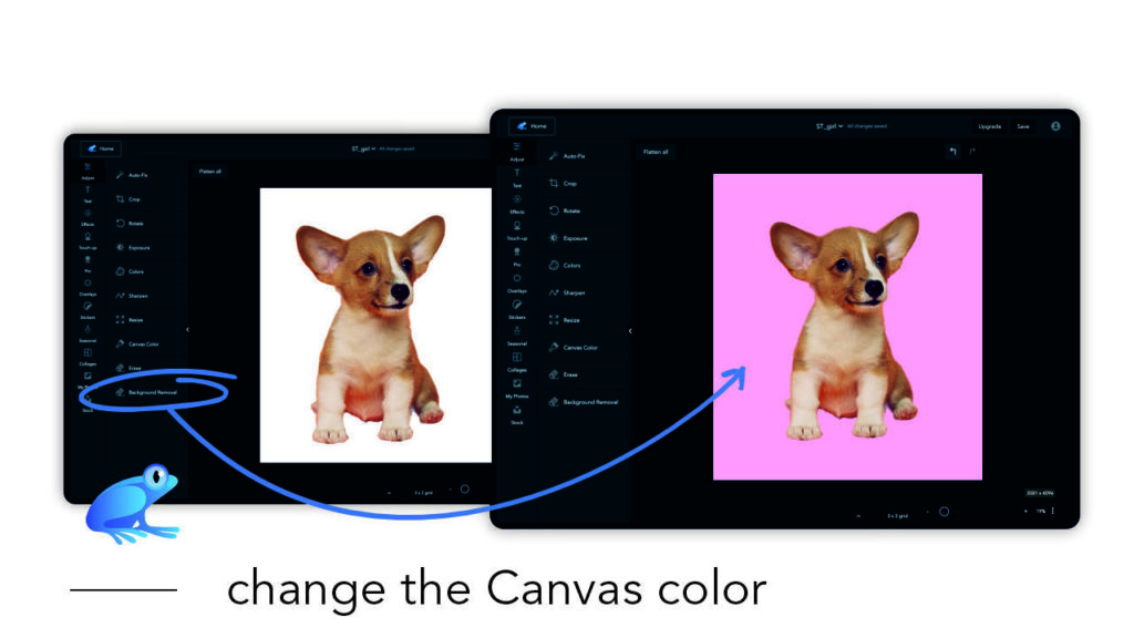 How to change the canvas color
