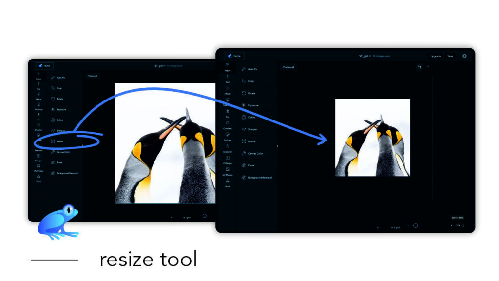 How to use the Resize tool