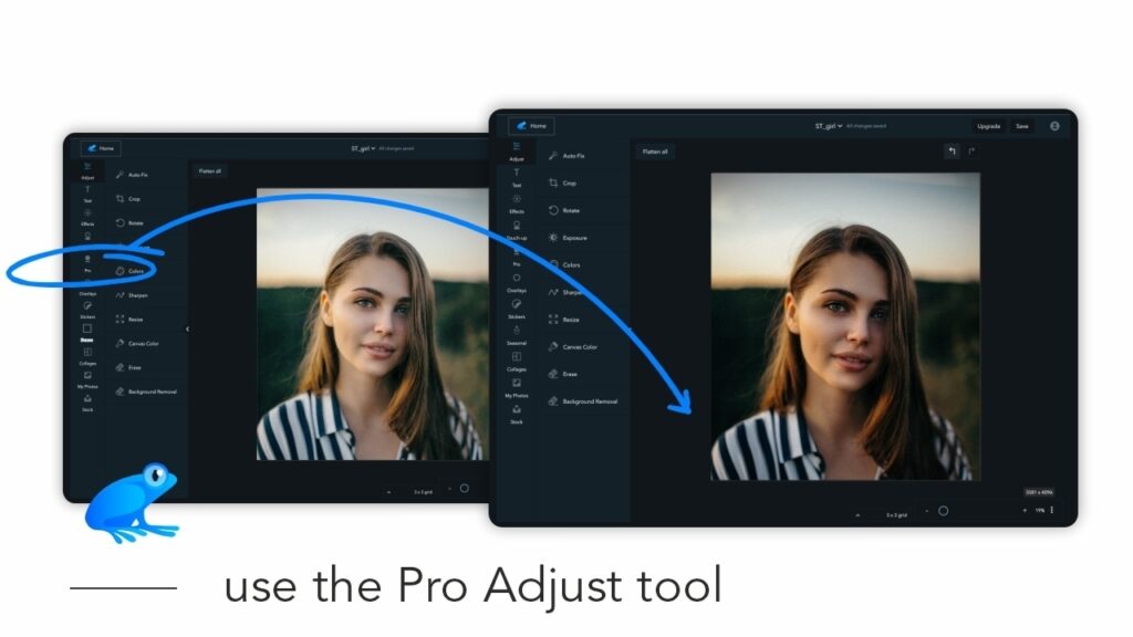 How to use the Pro Adjust tool