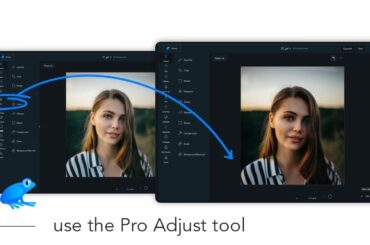 How to use the Pro Adjust tool