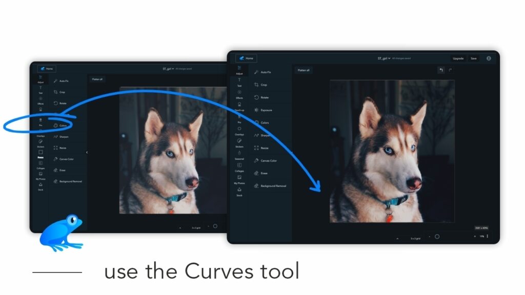 How to use the Curves tool