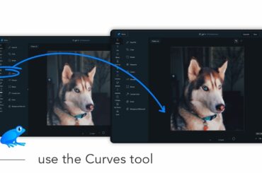 How to use the Curves tool